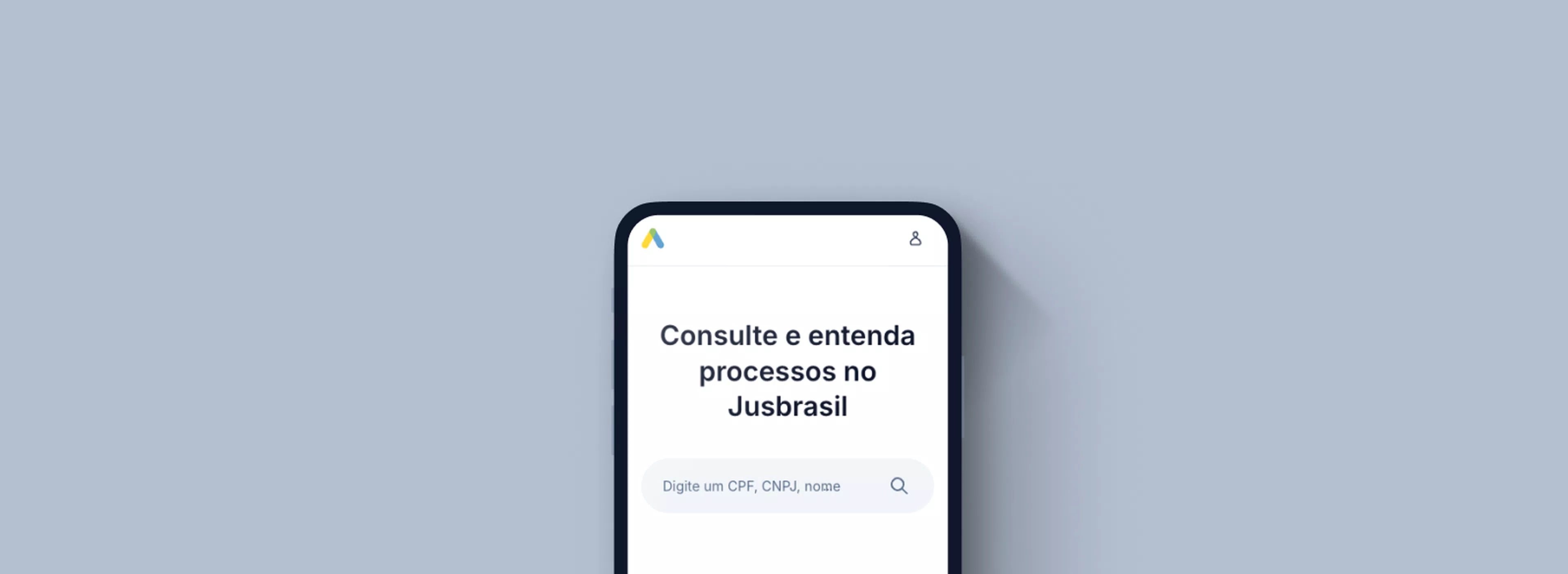 Interface de consulta de processos